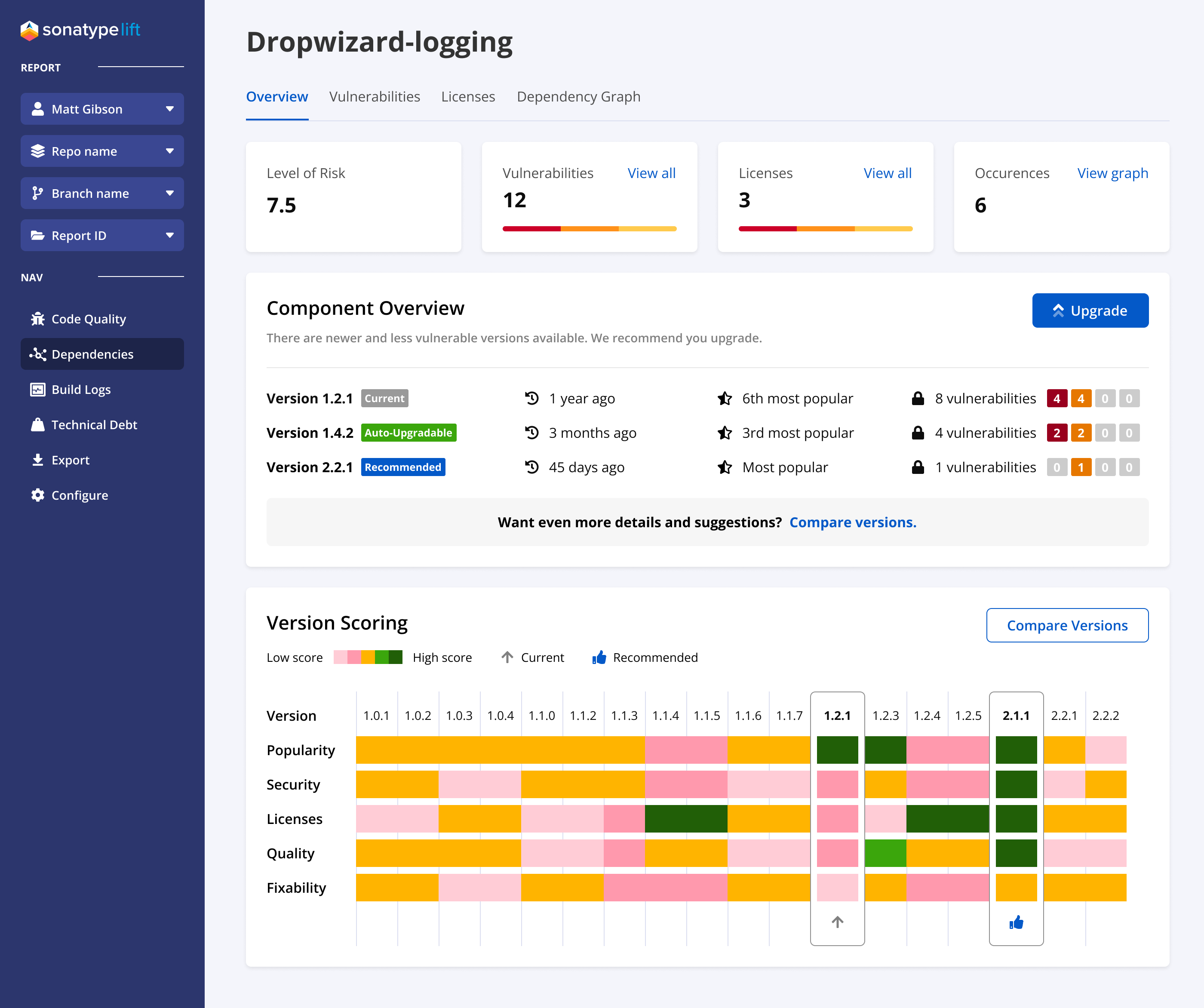 Overview tab showing a comprehensive view of the dependency landscape